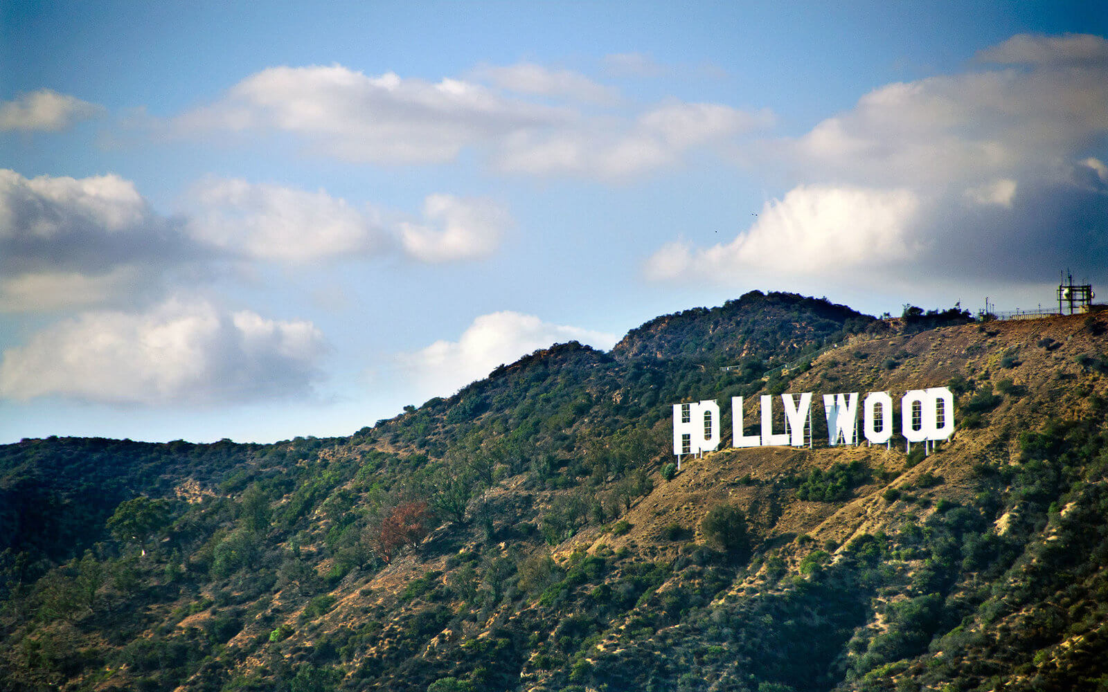 Check Out These Jobs in Hollywood • How to Find An Online Job
