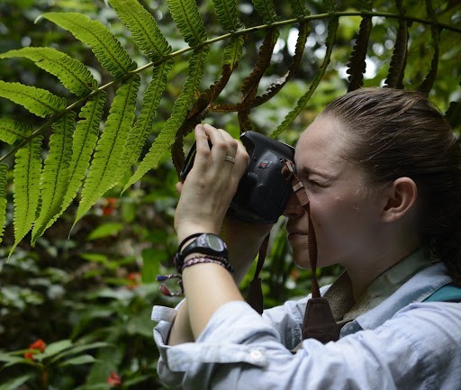 Vacancies for Volunteer Work in the Amazon - Find Out How to Apply