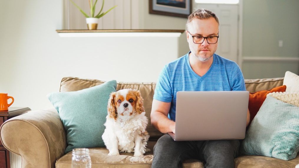 The 15 Best Work-From-Home Jobs of 2021