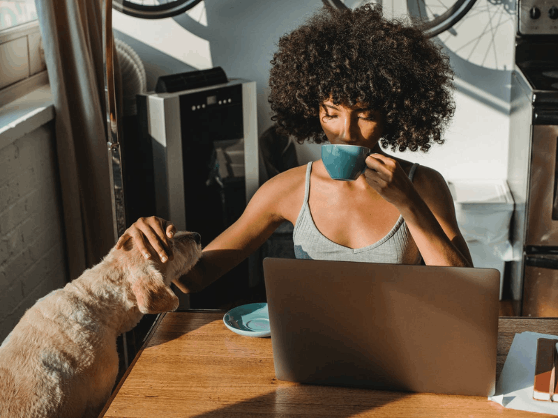 Discover These 13 Easy and Flexible Online Jobs